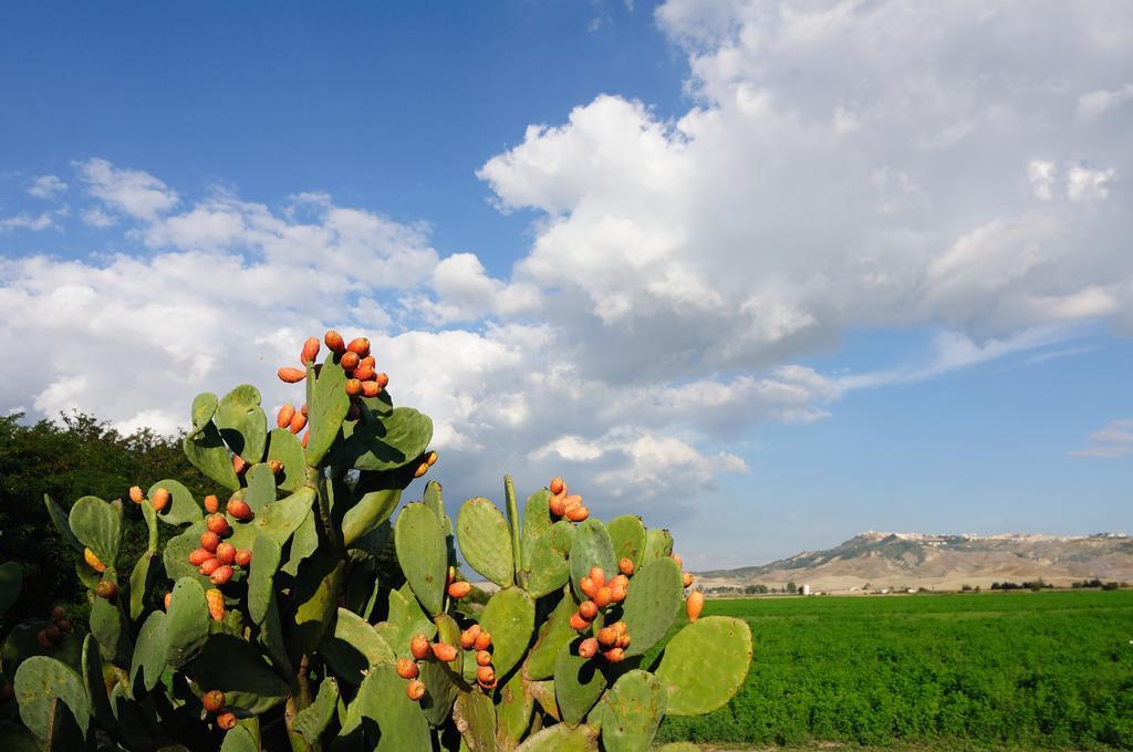 L'Orto di Lucania Montescaglioso Camera foto